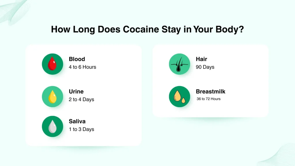 How Long Does Cocaine Stay in Your Body