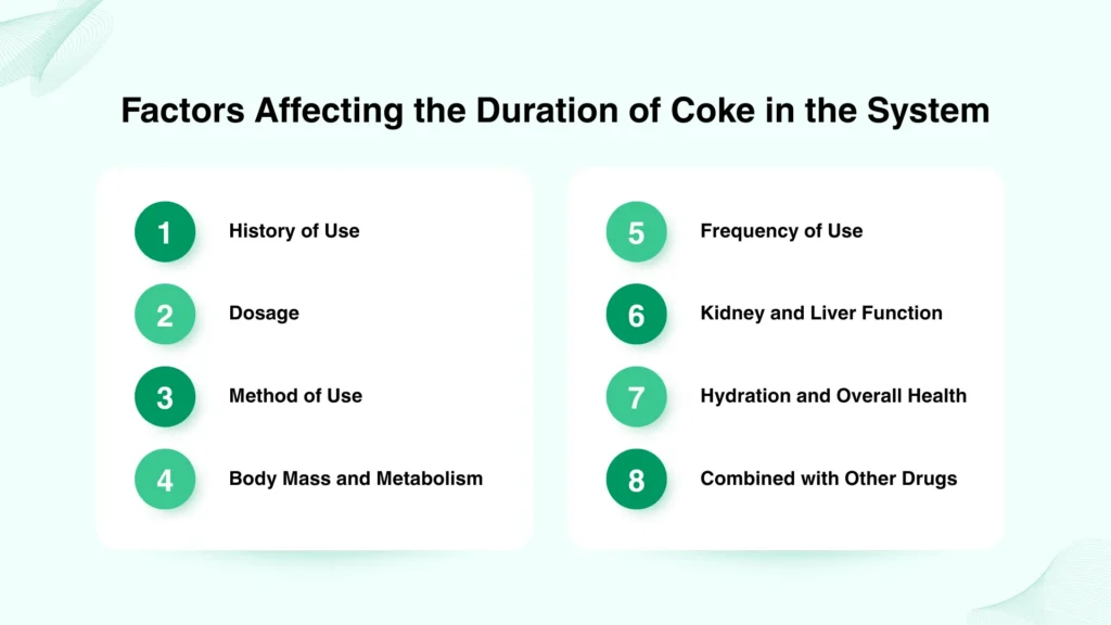 What are the Factors Affecting the Duration of Coke in the System