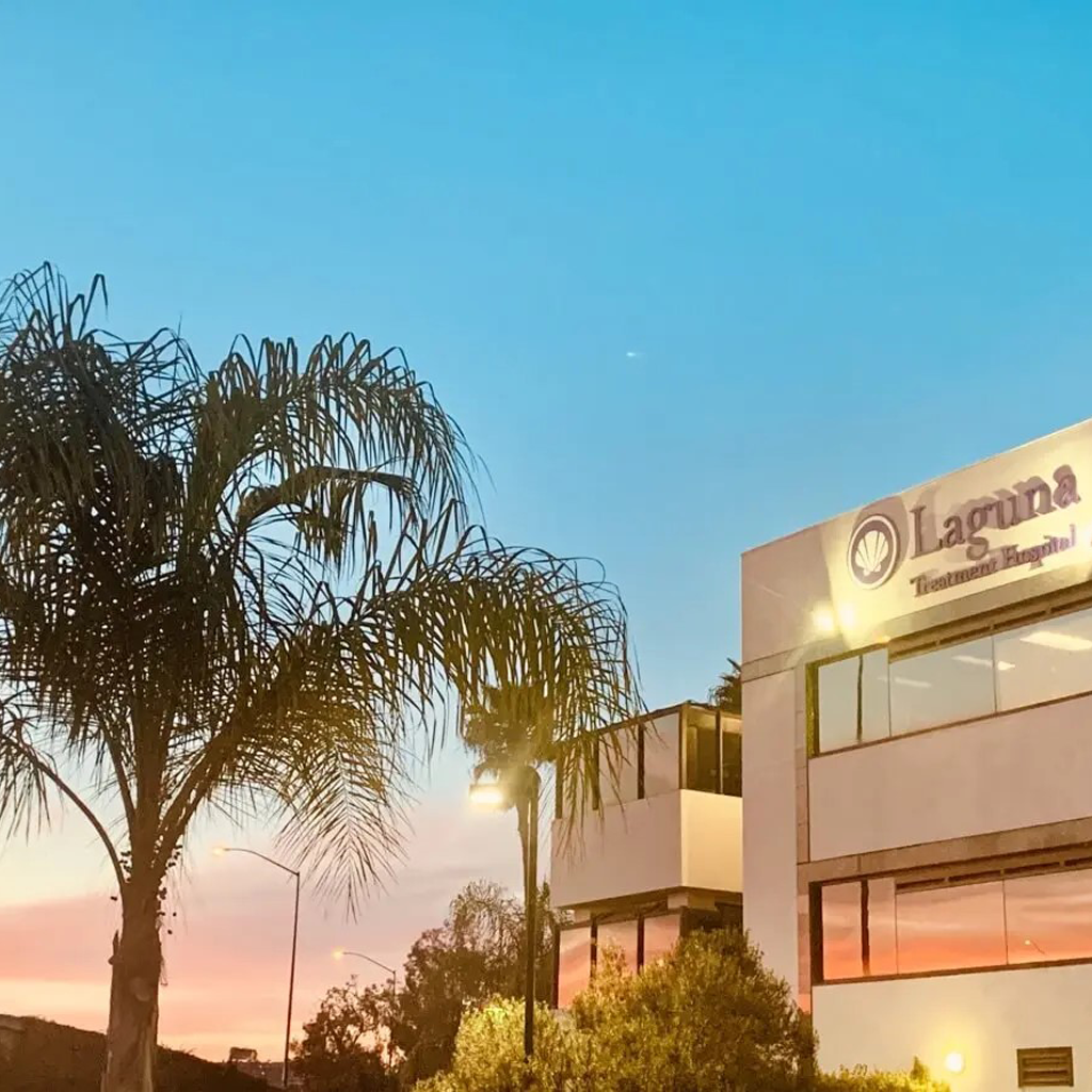 Top 31 Rehab Centers in the USA – 2025 Edition 5 American Addiction Centers – Laguna Treatment Center Aliso Viejo CA