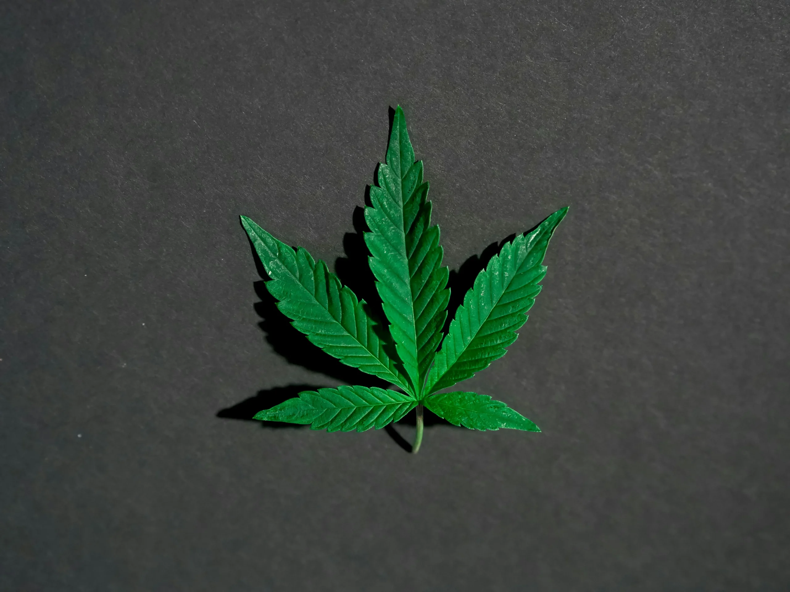 What Does Laced Weed Look Like