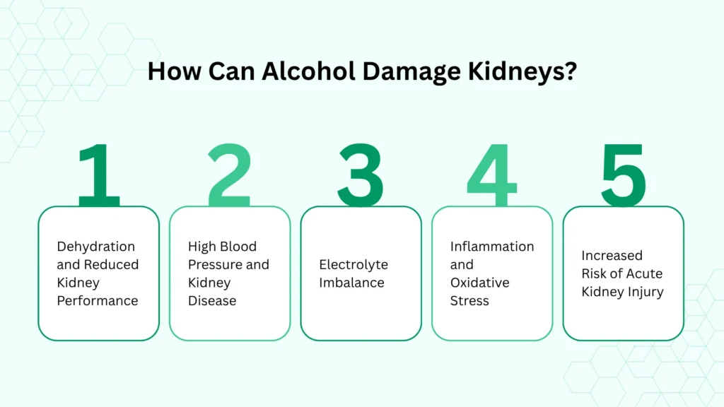 How Can Alcohol Damage Kidneys