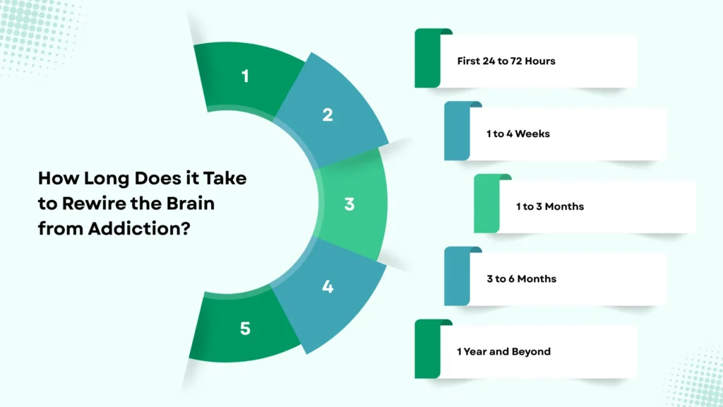 How Long Does it Take to Rewire the Brain from Addiction
