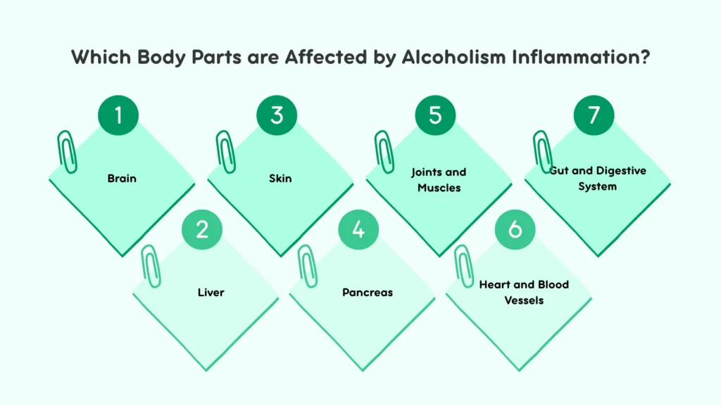 Which Body Parts are Affected by Alcoholism Inflammation